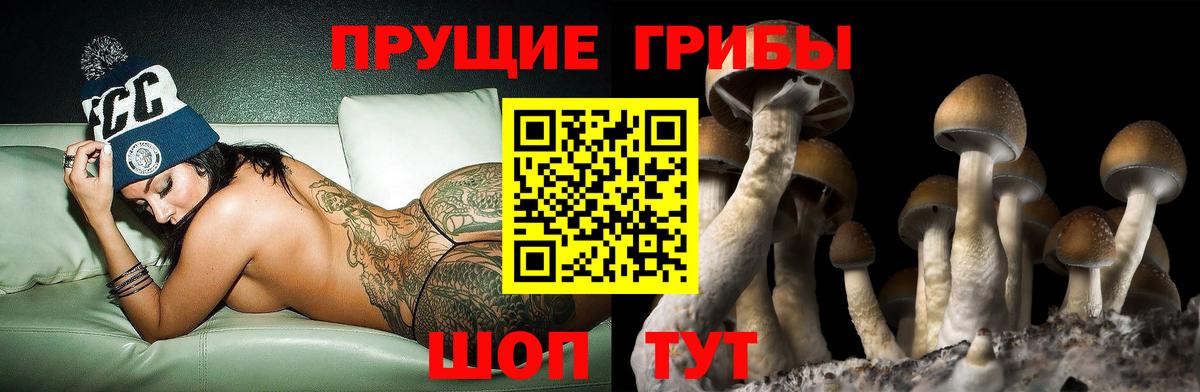 Галлюциногенные грибы Psilocybine cubensis  Галлюциногенные грибы мухоморы  Вход с VPN  Нижний Новгород 